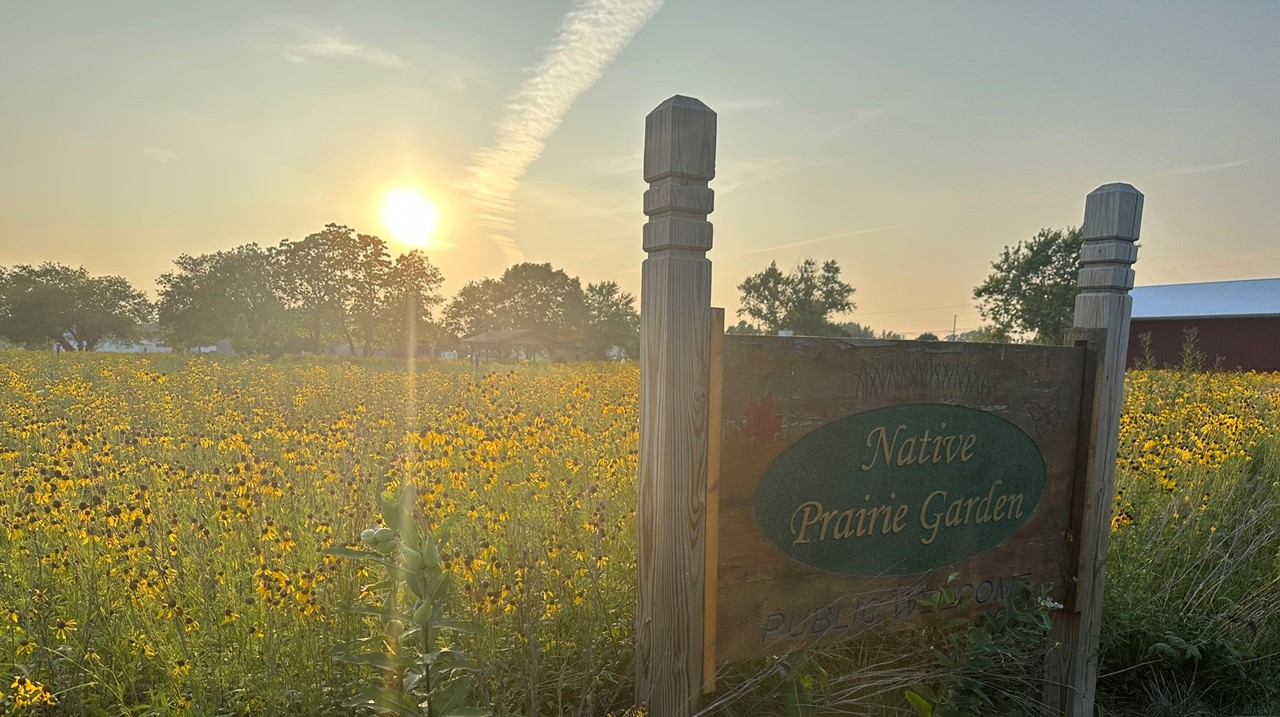 prairie garden in late summer